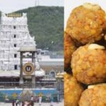 tirupati laddu controversy